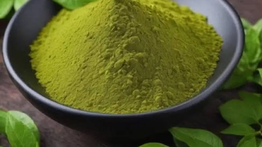 Gymnema Sylvestre Extract